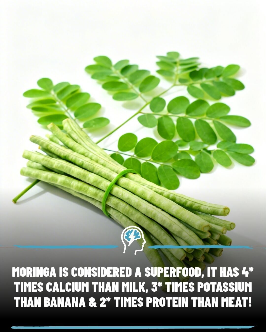 Moringa: A Plant-Based Calcium Powerhouse for Bone Health