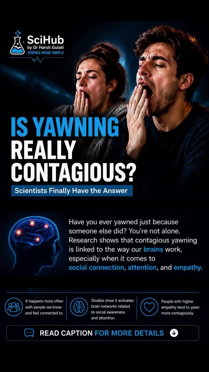 The Science Behind Contagious Yawning