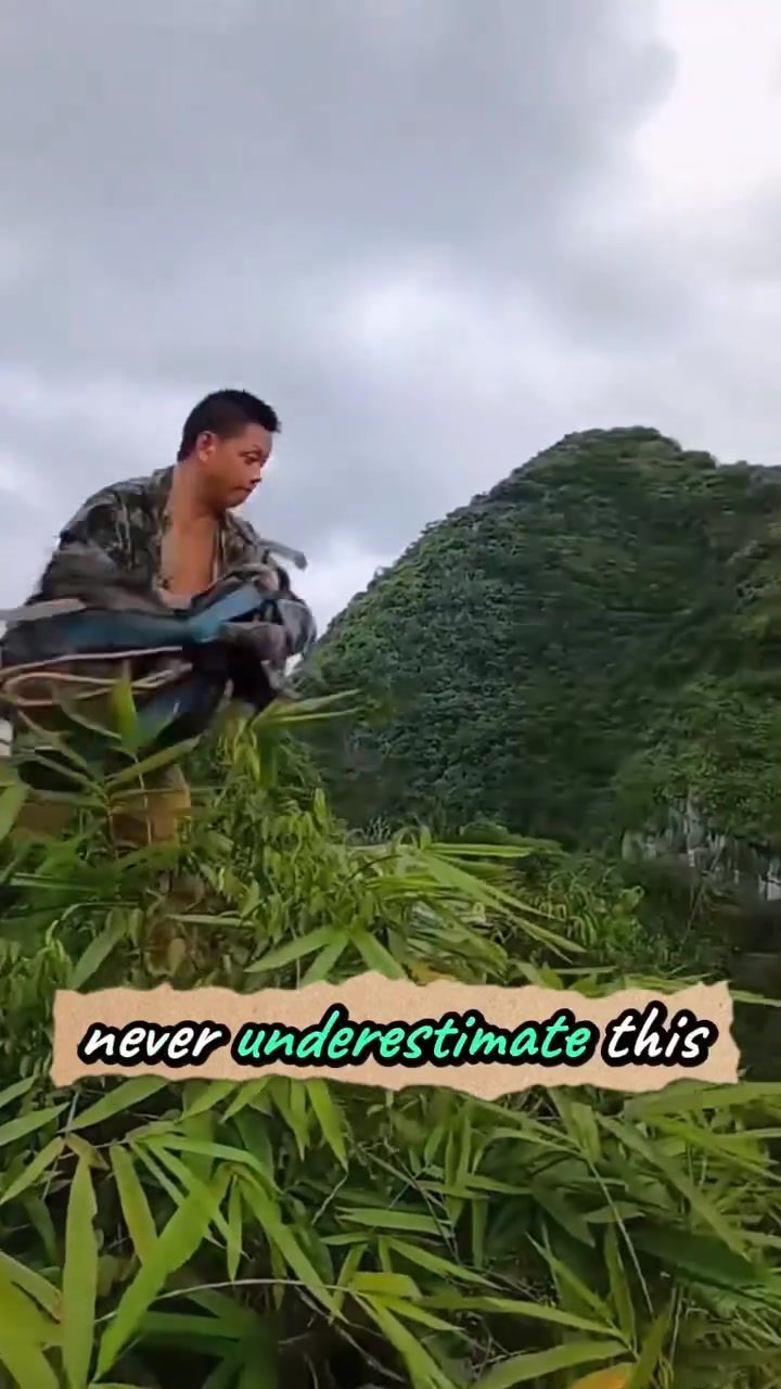 **The Daring Journey of Xiao Chen: Extreme Climbing for Rare Dragonwood**