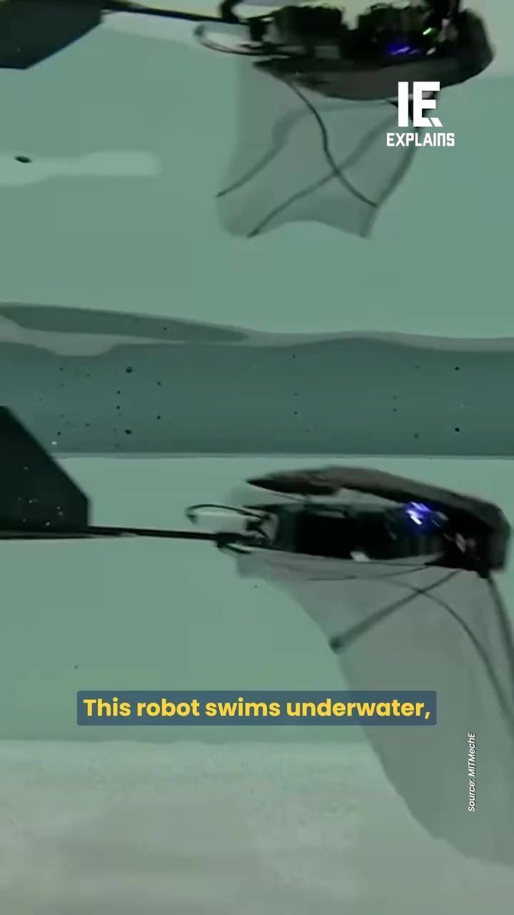 The FAAV: A New Aerial-Aquatic Robot for Ocean Exploration
