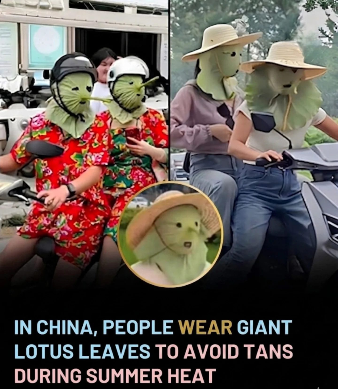 Creative Lotus Leaf Sun Protection: China's Unique UV Shield
