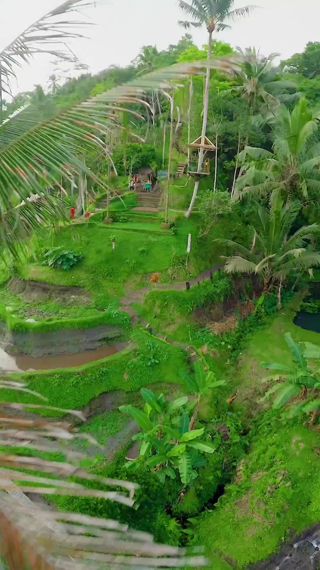 Bali Ziplining: Tropical Adventure Tour