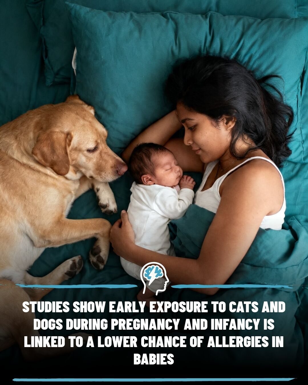 Pets During Pregnancy: Can They Protect Babies from Allergies?