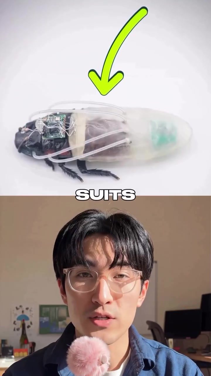 Incredible: Cockroaches Get 3D-Printed Scuba Suits for Disaster Response