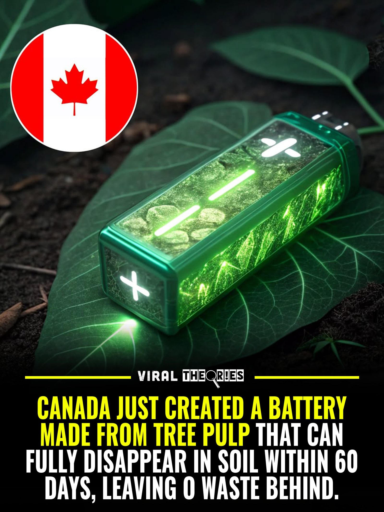 Canada's Eco-Friendly Tree Pulp Battery Vanishes in 60 Days