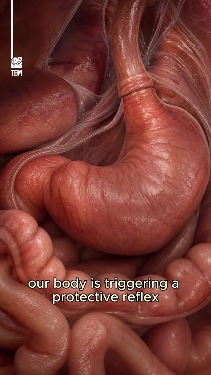 Unveiling the Science of Vomiting: Your Body's Defense Mechanism