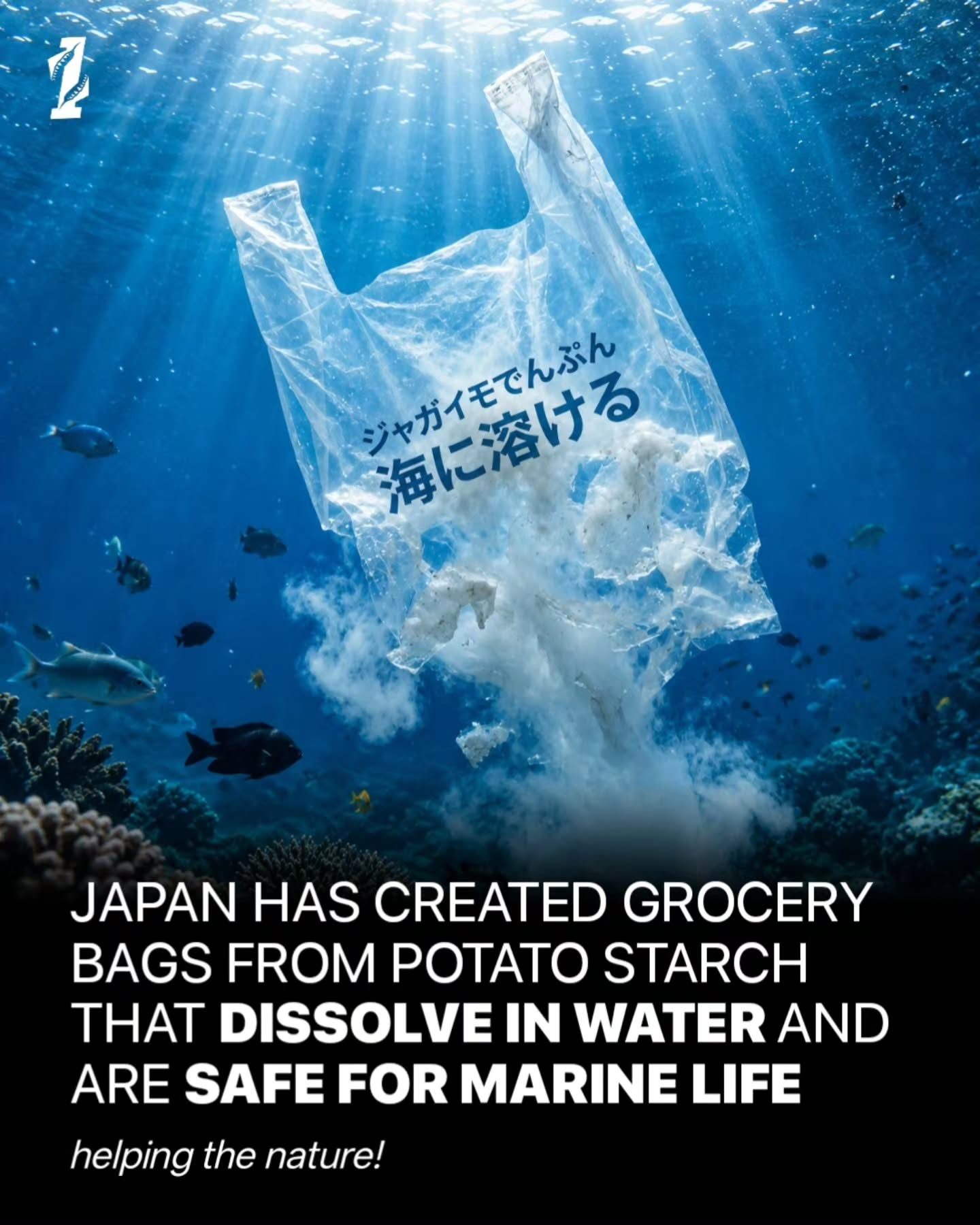 Japan's Potato Starch Bags: Eco-Friendly Grocery Solution
