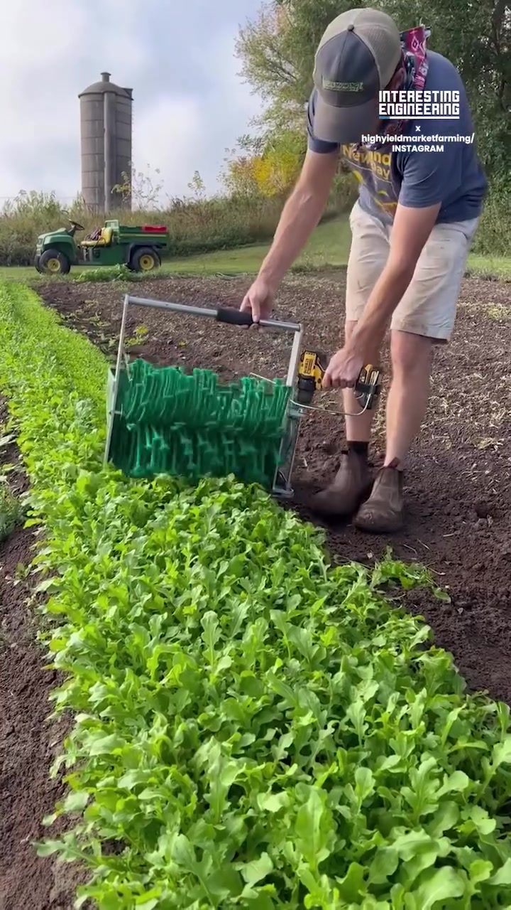 Harvest Smarter: Tool Revolutionizes Baby Kale and Arugula Harvesting