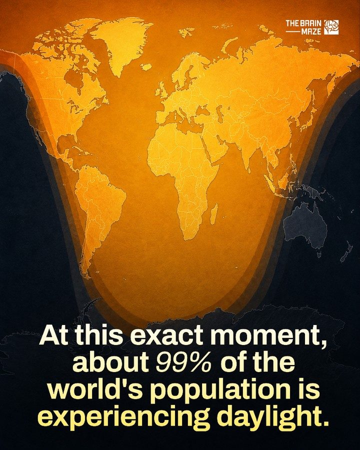 Most of Earth Sees Daylight: The Brain Maze Finds