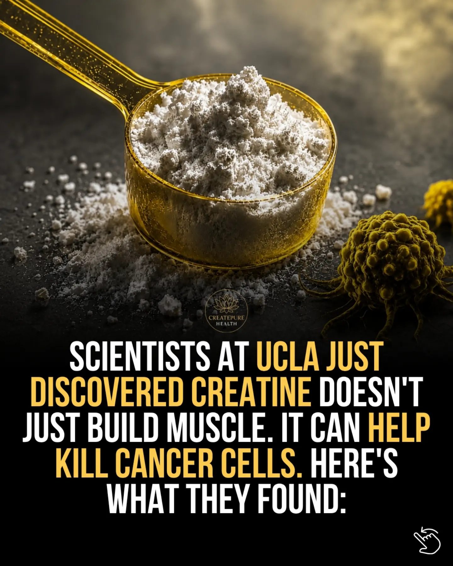 Creatine's Potential in Cancer Treatment and Immunotherapy