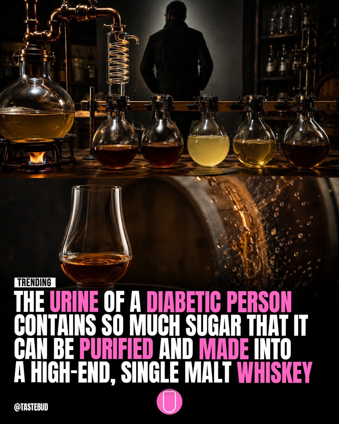 Whiskey from Urine: Designer's Controversial Art Project