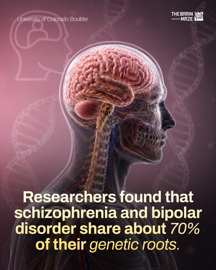 70% Genetic Link Found Between Schizophrenia and Bipolar Disorder