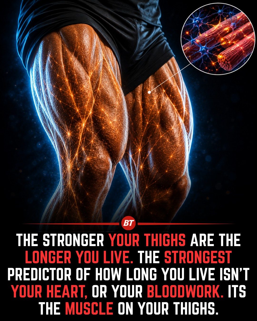 Thigh Strength: A Key to Longevity and Mobility