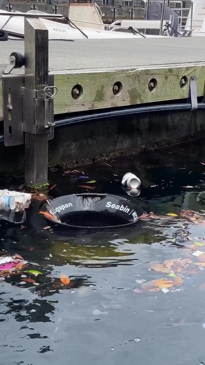 Seabin's Impact: Cleaning Sydney Harbour's Waters