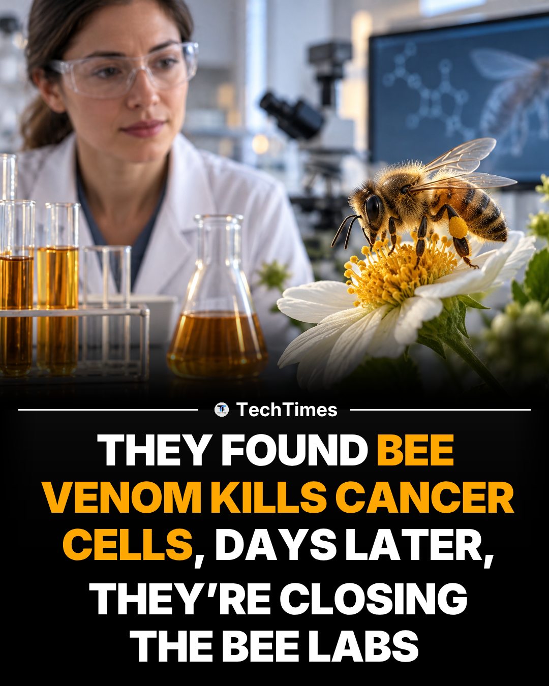 Bee Venom Cancer Research: Killing Cancer Cells