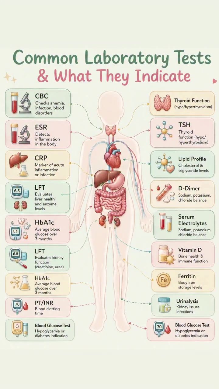 Understanding Common Lab Tests for Better Health