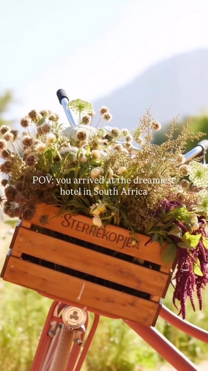 Exploring South Africa's Dreamy Hotel Getaway by Vintage Bike