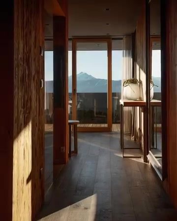 Wooden Interiors: Modern Design with Natural Elements
