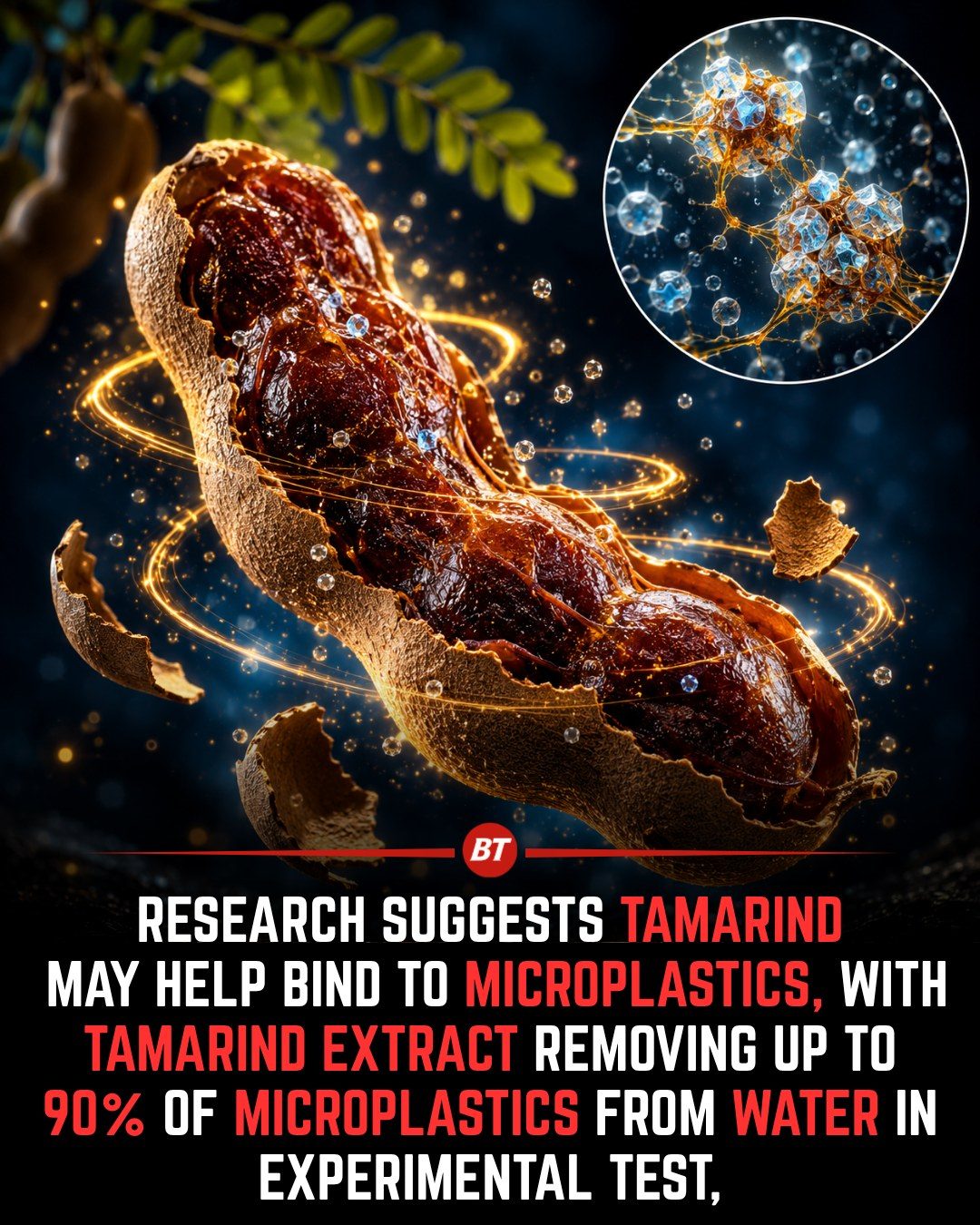 Tamarind Extract: A Natural Way to Remove Microplastics