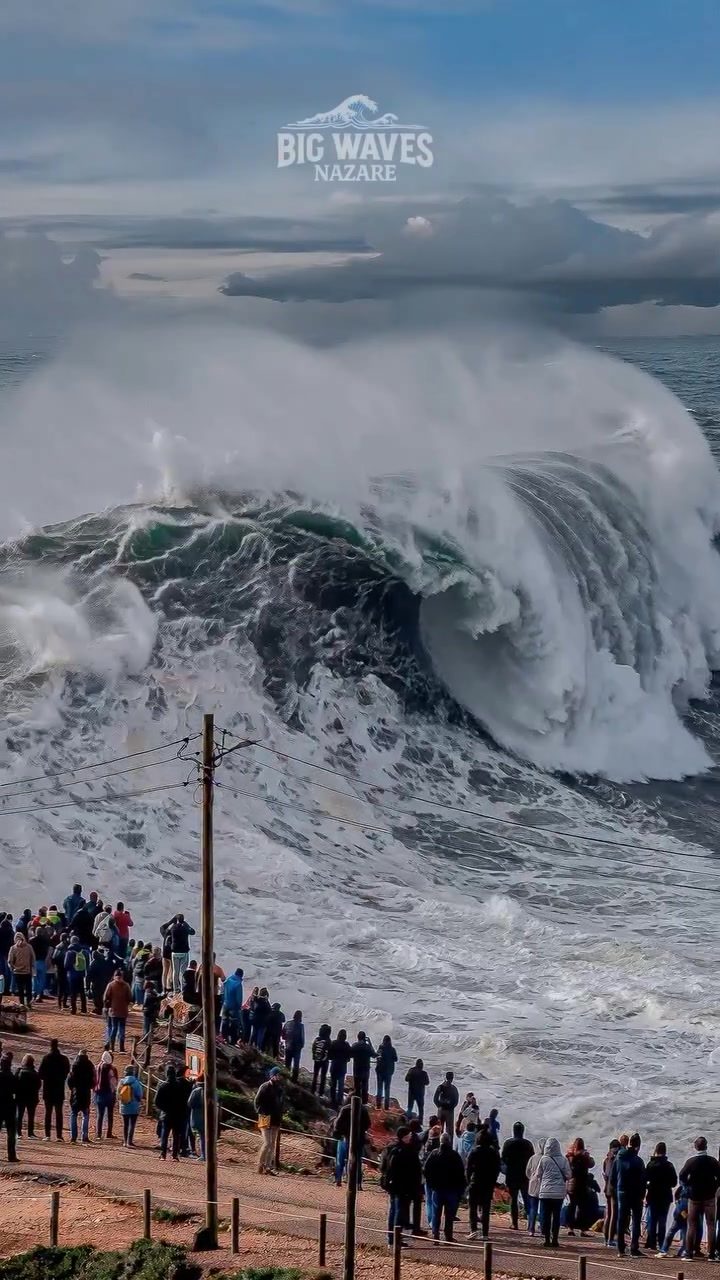 Experience the Thrill of Portugal's Massive Waves in Nazaré