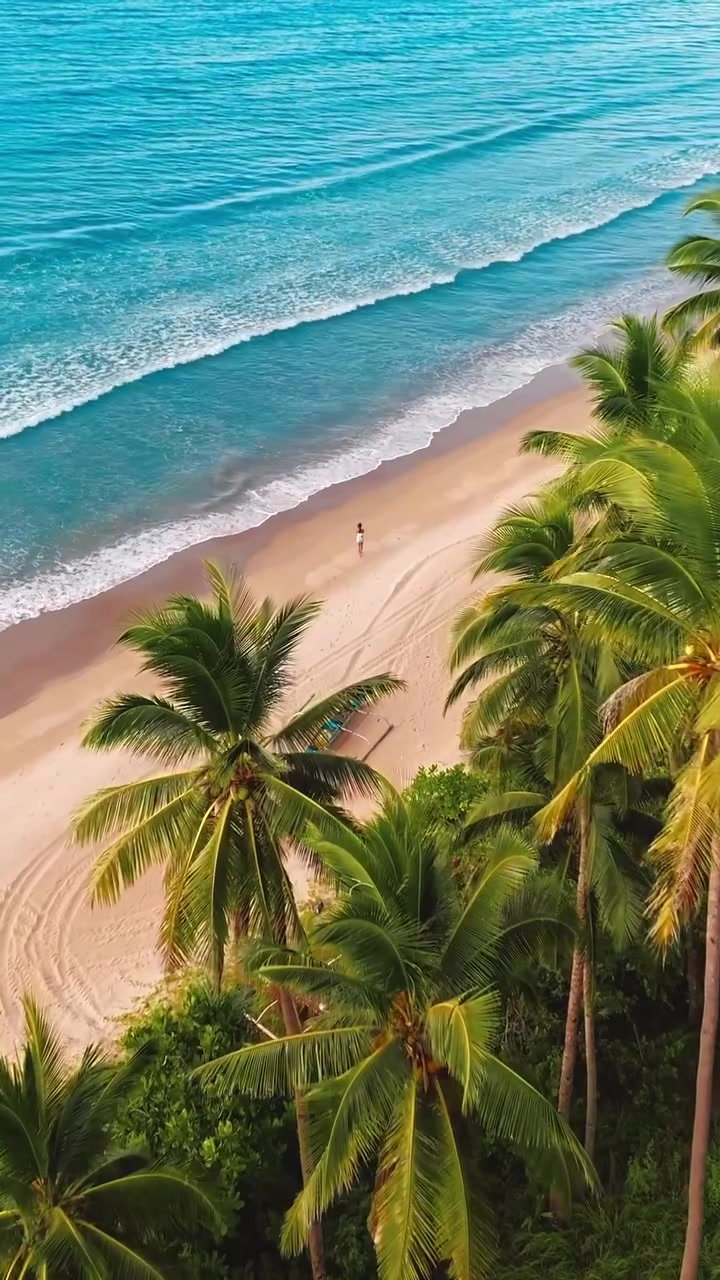 San Vicente Palawan: Tropical Paradise