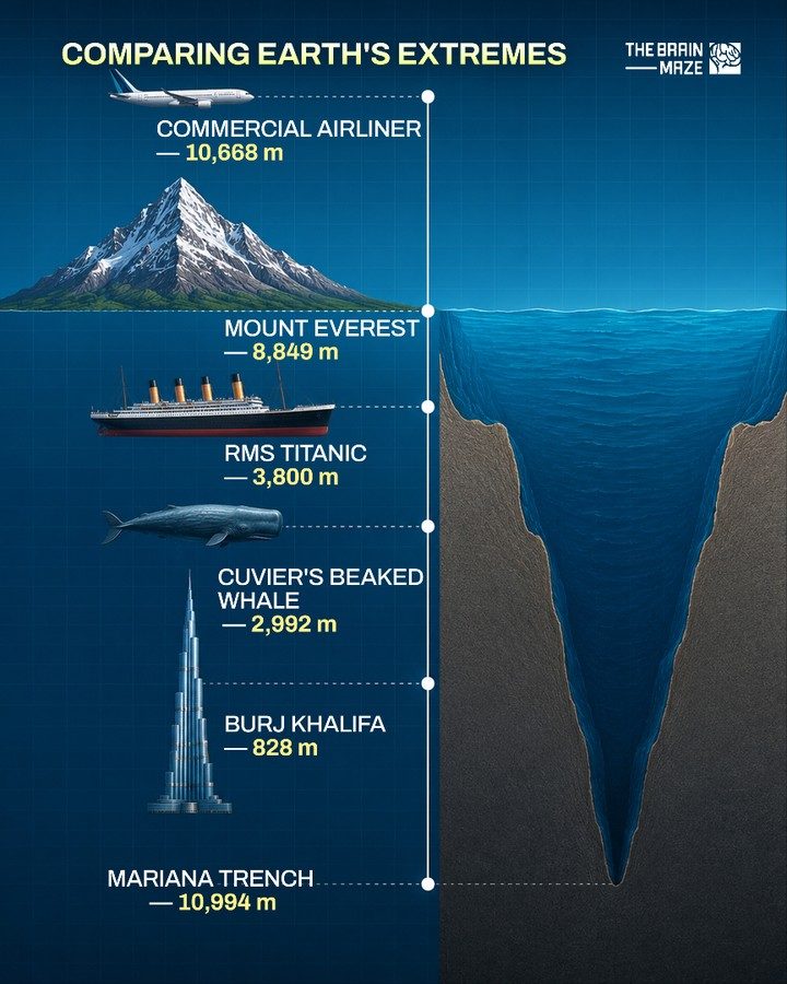 ### Discover Earth's Extreme Heights and Depths in One Infographic