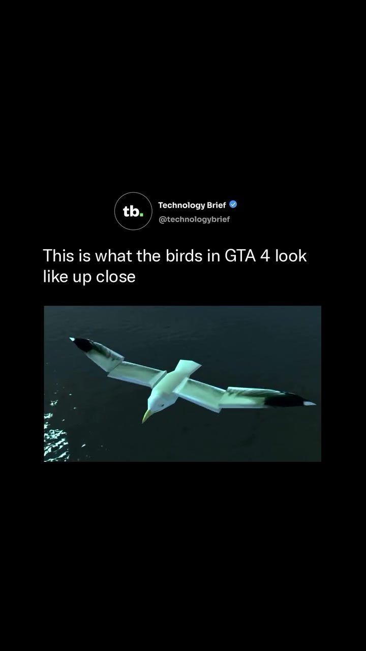 The Odd Design of GTA 4's Seagulls