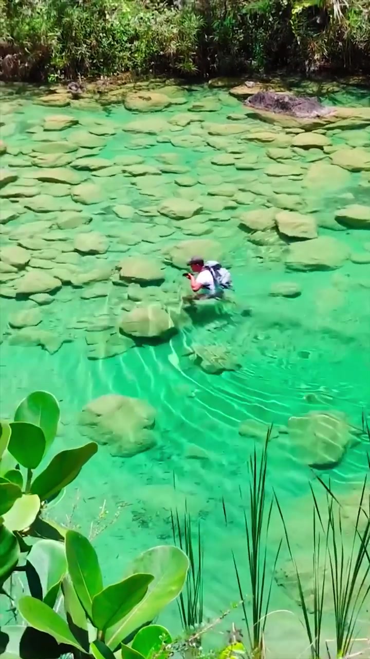 Charco Dos Aguas: Dominican Republic's Green Water Oasis