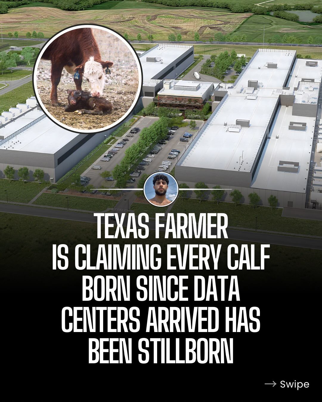 Texas Farmer Blames Data Centers for Cattle Stillbirths