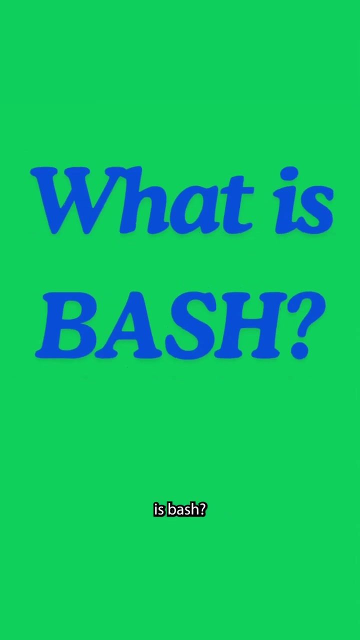 What is Bash and why do programmers use it?