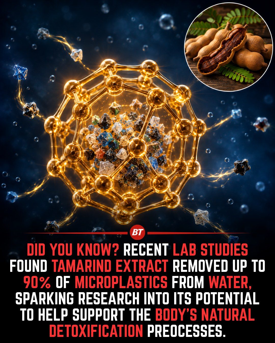 Tamarind Extract Shows Promise in Microplastic Removal