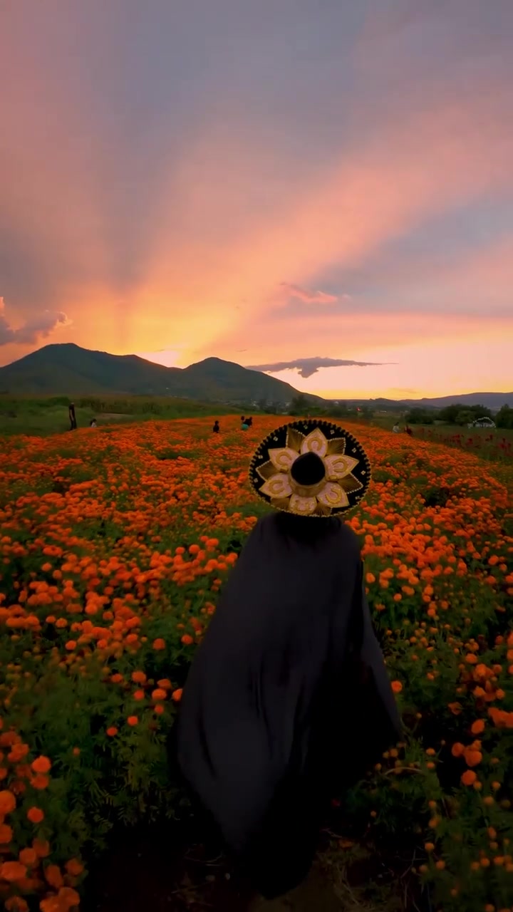 Dia de Muertos: Marigolds, Sombreros, and Sunset