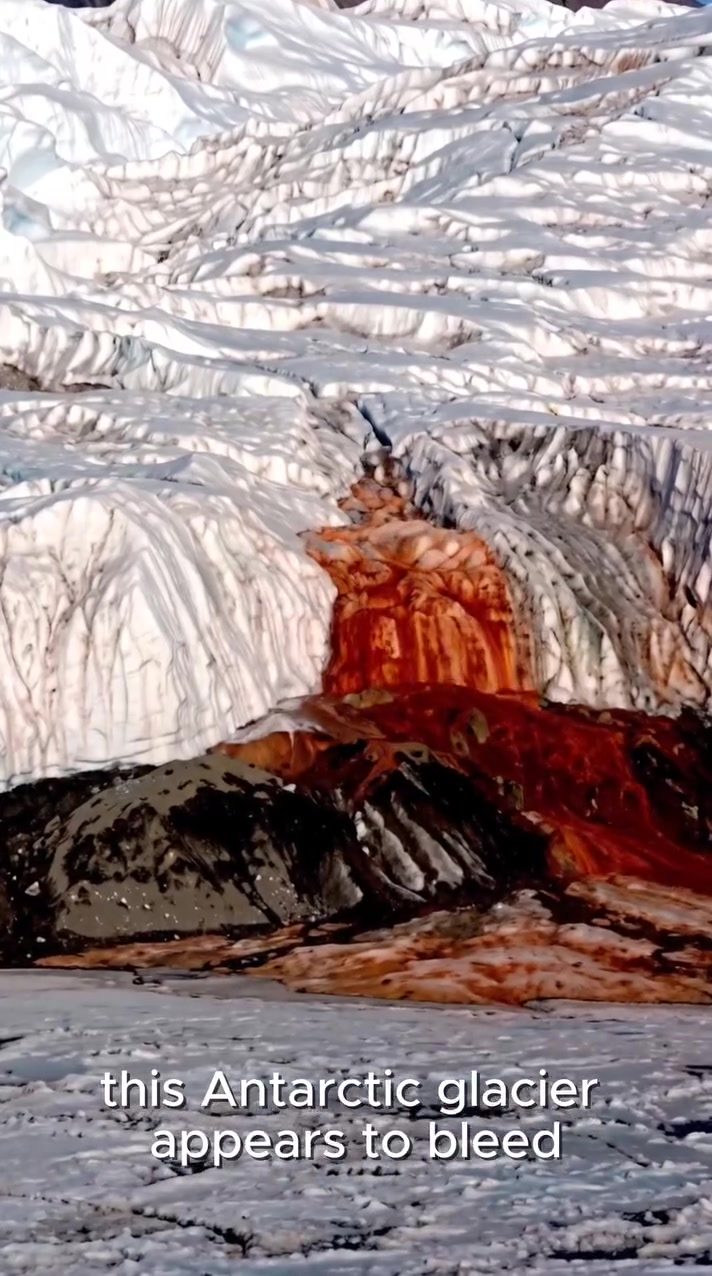 Taylor Glacier's Mysterious Bleeding
